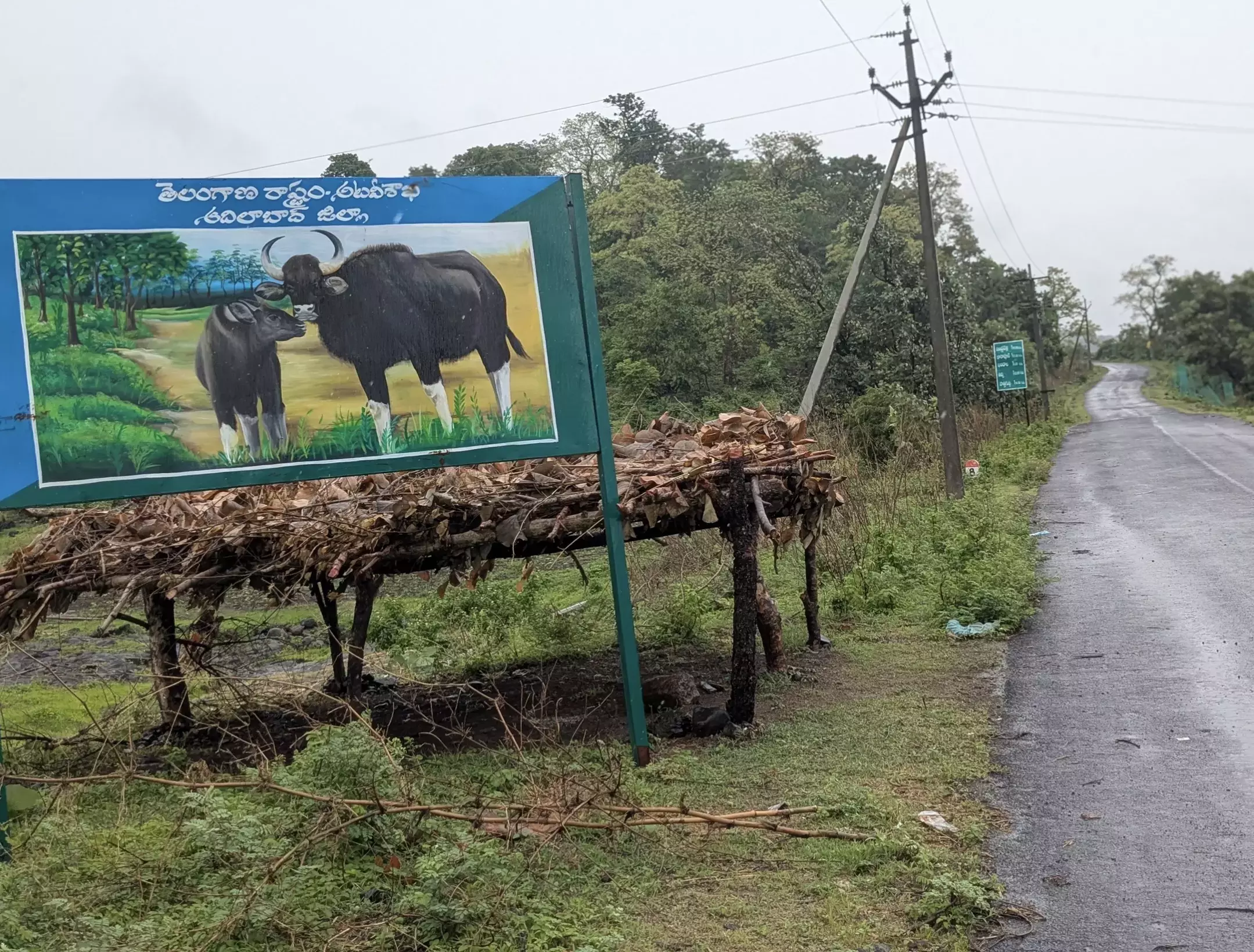 Telangana: पर्यटन, वन विभाग विफल होने से आदिलाबाद जिला आर्थिक अवसर खो रहा है Telangana: पर्यटन, वन विभाग विफल होने से आदिलाबाद जिला आर्थिक अवसर खो रहा है