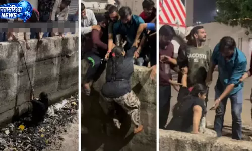 कचरे से भरे नाले में फंसी महिला स्थानीय लोगों ने रेस्क्यू कर बचाने की कोशिश की वीडियो वायरल कचरे से भरे नाले में फंसी महिला स्थानीय लोगों ने रेस्क्यू कर बचाने की कोशिश की वीडियो वायरल