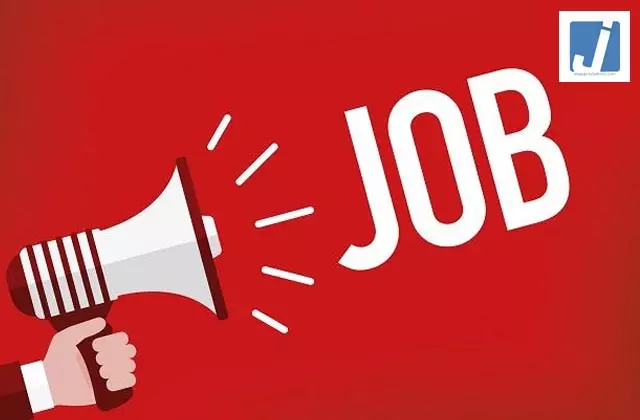 CG Job Alert 2026, बिजली कंपनी में बंपर भर्ती CG Job Alert 2026, बिजली कंपनी में बंपर भर्ती
