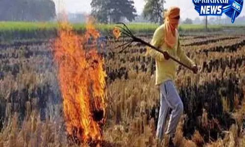 कृषि अवशेष से बनेगी कमाई बायोएनर्जी एक्सपो में दिखेगा नया मॉडल कृषि अवशेष से बनेगी कमाई बायोएनर्जी एक्सपो में दिखेगा नया मॉडल