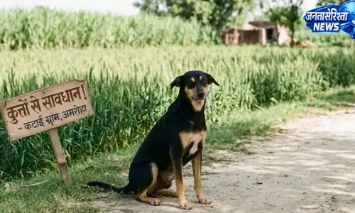 पिता के पीछे खेत जा रहे आठ साल के शिवा पर कुत्तों का हमला, गंभीर रूप से घायल पिता के पीछे खेत जा रहे आठ साल के शिवा पर कुत्तों का हमला, गंभीर रूप से घायल