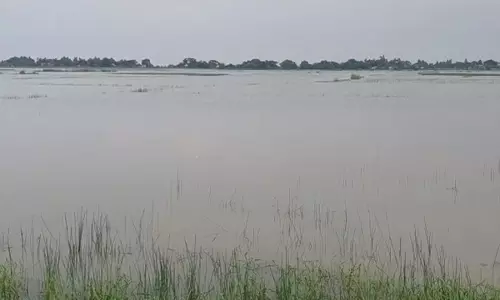बैतरणी और सालंदी नदियों में जलस्तर घटने लगा बैतरणी और सालंदी नदियों में जलस्तर घटने लगा