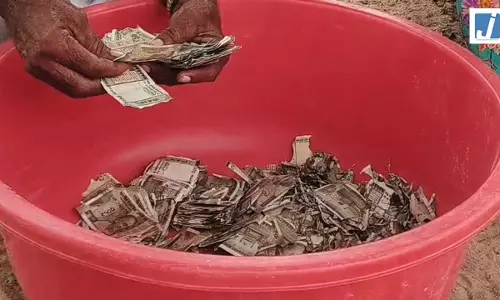 खेत में दबाकर भूल गया 5 लाख, दीमक ने बर्बाद की किसान की जमापूंजी खेत में दबाकर भूल गया 5 लाख, दीमक ने बर्बाद की किसान की जमापूंजी