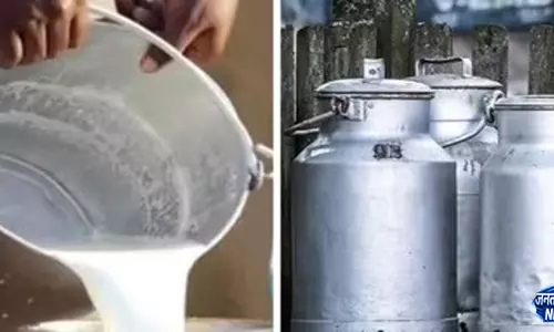 दूध पर बढ़ा खर्च महाराष्ट्र में 11 अगस्त से नई कीमतें होंगी लागू