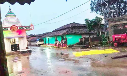दंतैल हाथी का आतंक, बुजुर्ग को कुचलकर मार डाला