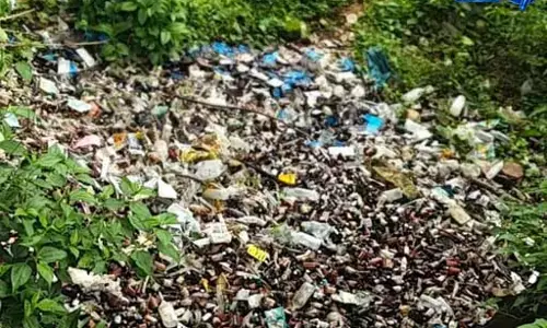 PHC सेमरदर्री के पास सड़क किनारे मिली दवाइयां, मेडिकल वेस्ट फेंकने से मचा हड़कंप PHC सेमरदर्री के पास सड़क किनारे मिली दवाइयां, मेडिकल वेस्ट फेंकने से मचा हड़कंप