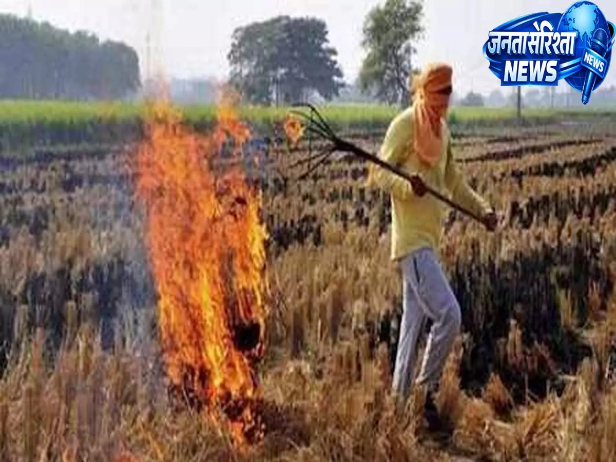 कृषि अवशेष से बनेगी कमाई बायोएनर्जी एक्सपो में दिखेगा नया मॉडल कृषि अवशेष से बनेगी कमाई बायोएनर्जी एक्सपो में दिखेगा नया मॉडल