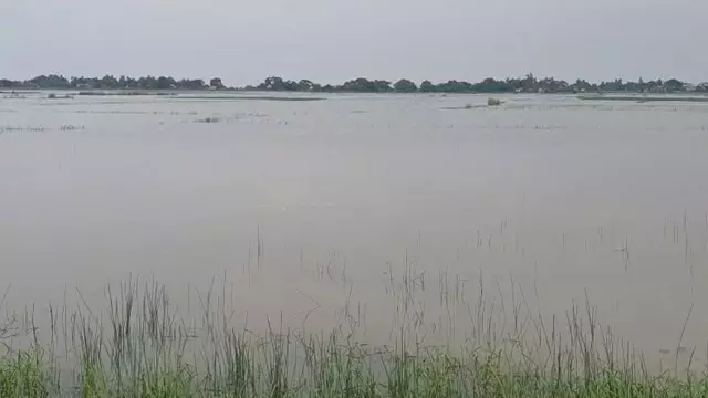 बैतरणी और सालंदी नदियों में जलस्तर घटने लगा बैतरणी और सालंदी नदियों में जलस्तर घटने लगा