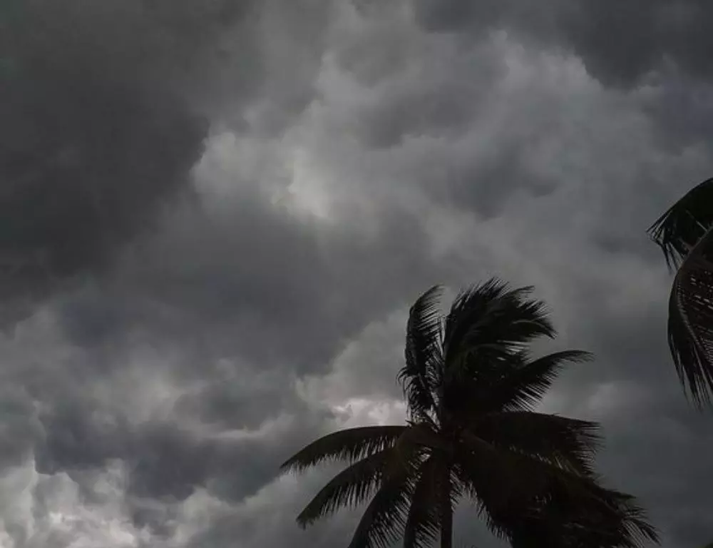 मौसम का मिजाज: तेलंगाना में 9 अगस्त को थमेगा मानसून का जोर मौसम का मिजाज: तेलंगाना में 9 अगस्त को थमेगा मानसून का जोर