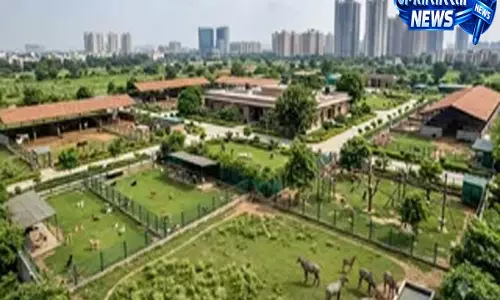 आवारा जानवरों के लिए बड़ी पहल ग्रेटर नोएडा में 3 एकड़ में बनेगा एनिमल शेल्टर आवारा जानवरों के लिए बड़ी पहल ग्रेटर नोएडा में 3 एकड़ में बनेगा एनिमल शेल्टर