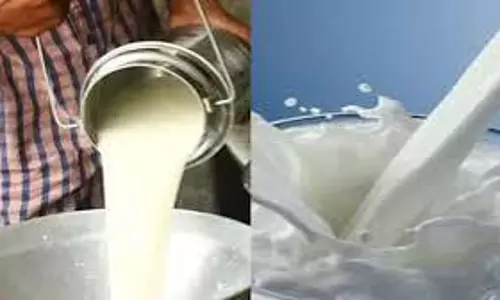 Mumbai: महाराष्ट्र में दूध के दाम बढ़ाने का फैसला, 2 रुपये प्रति लीटर इजाफा Mumbai: महाराष्ट्र में दूध के दाम बढ़ाने का फैसला, 2 रुपये प्रति लीटर इजाफा