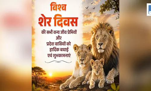 विश्व शेर दिवस 2026: योगी आदित्यनाथ सहित कई राज्य के मुख्यमंत्रियों ने दीं बधाई और शुभकामनाएं