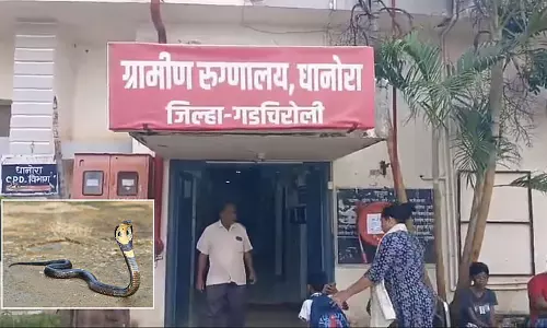 गढ़चिरौली के आदिवासी छात्रावास में सांप के काटने से तीन बच्चियों की मौत