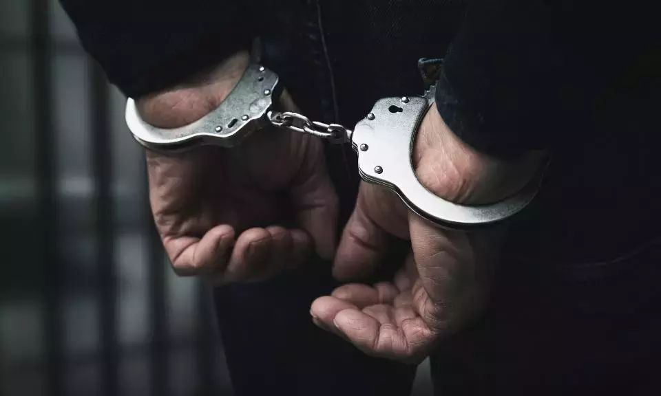 चेन्नई हवाई अड्डे पर 4 करोड़ रुपये के हाइड्रोपोनिक कैनबिस के साथ मलेशियाई गिरफ्तार