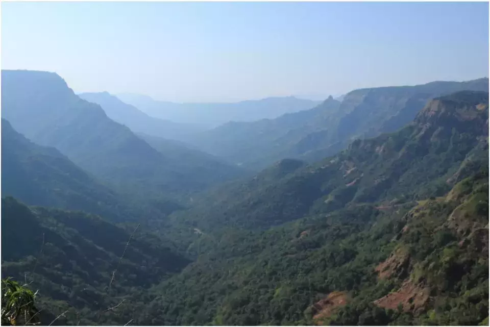 Karnataka: कर्नाटक के पर्यटक की महाराष्ट्र में 400 फीट से गिरकर मौत Karnataka: कर्नाटक के पर्यटक की महाराष्ट्र में 400 फीट से गिरकर मौत