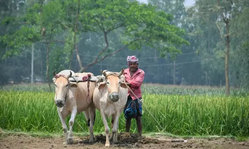 ओडिशा के किसानों को मिलेगा आधार जैसा यूनिक नंबर, शुरू हुआ Agristack ID के लिए रजिस्ट्रेशन ओडिशा के किसानों को मिलेगा आधार जैसा यूनिक नंबर, शुरू हुआ Agristack ID के लिए रजिस्ट्रेशन