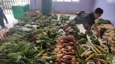 CS ने Clang में SIR की प्रगति और विकास परियोजनाओं की समीक्षा