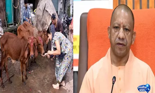 गोपालकों के लिए नया कमाई मॉडल 10 रुपये लीटर खरीदा जा रहा गोमूत्र गोपालकों के लिए नया कमाई मॉडल 10 रुपये लीटर खरीदा जा रहा गोमूत्र
