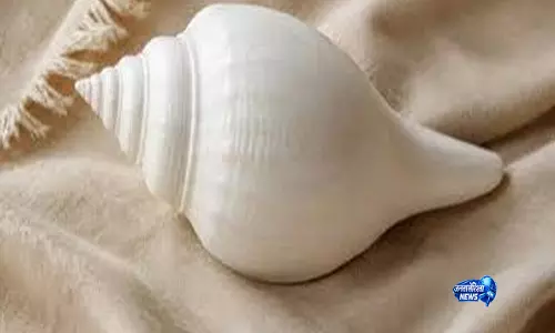 पूजा के लिए शंख खरीद रहे हैं तो पहले जान लें ये ट्रिक
