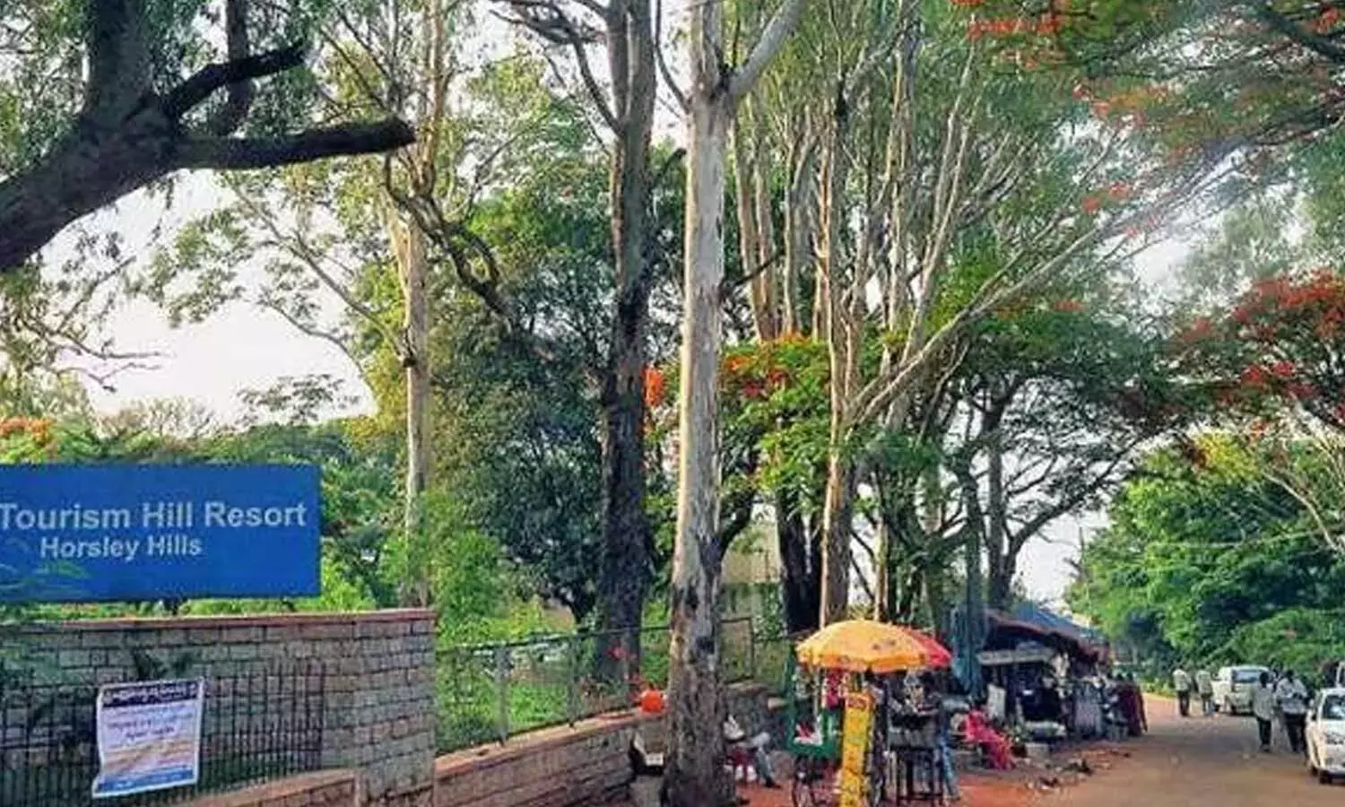 Andhra: पर्यटकों की बढ़ती संख्या के बीच हॉर्स्ले हिल्स ने हरित अभियान को आगे बढ़ाया है