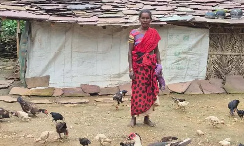 महिला किसान रैबाली कश्यप ने एकीकृत कृषि अपनाकर रची सफलता की नई इबारत