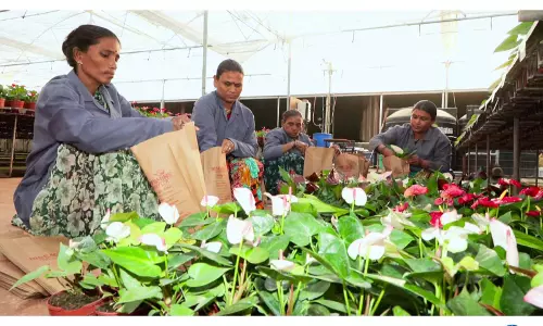 युवा इनोवेटर्स भारत की अगली कृषि क्रांति को आगे बढ़ा रहे युवा इनोवेटर्स भारत की अगली कृषि क्रांति को आगे बढ़ा रहे
