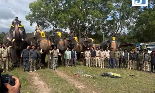 कर्नाटक: हसन में भुवनेश्वरी झुंड के एक हाथी को रेडियो कॉलर लगाया गया कर्नाटक: हसन में भुवनेश्वरी झुंड के एक हाथी को रेडियो कॉलर लगाया गया