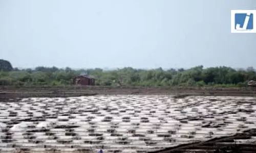 नमक उत्पादकों की सरकारी जमीन पर लीज रिन्यू कराने की मांग, सीएम विजय से दखल की अपील नमक उत्पादकों की सरकारी जमीन पर लीज रिन्यू कराने की मांग, सीएम विजय से दखल की अपील
