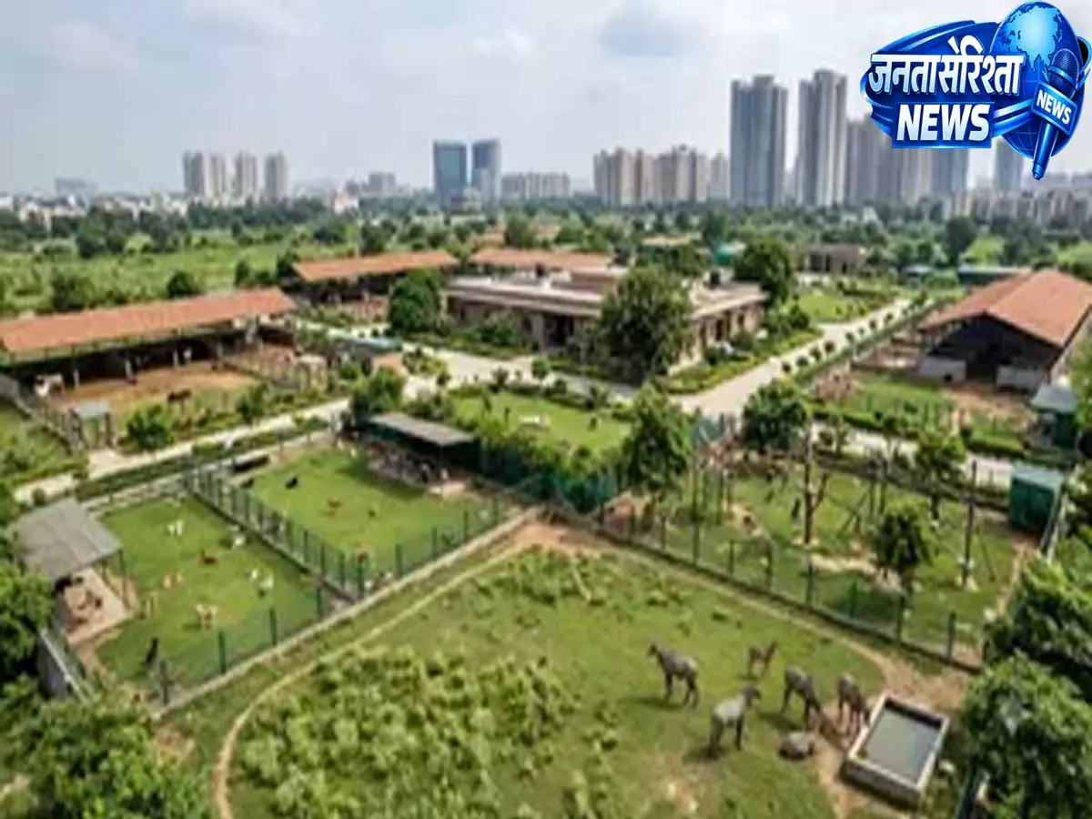 आवारा जानवरों के लिए बड़ी पहल ग्रेटर नोएडा में 3 एकड़ में बनेगा एनिमल शेल्टर आवारा जानवरों के लिए बड़ी पहल ग्रेटर नोएडा में 3 एकड़ में बनेगा एनिमल शेल्टर
