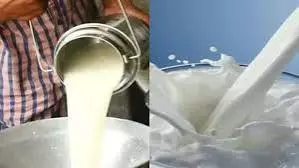 Mumbai: महाराष्ट्र में दूध के दाम बढ़ाने का फैसला, 2 रुपये प्रति लीटर इजाफा Mumbai: महाराष्ट्र में दूध के दाम बढ़ाने का फैसला, 2 रुपये प्रति लीटर इजाफा