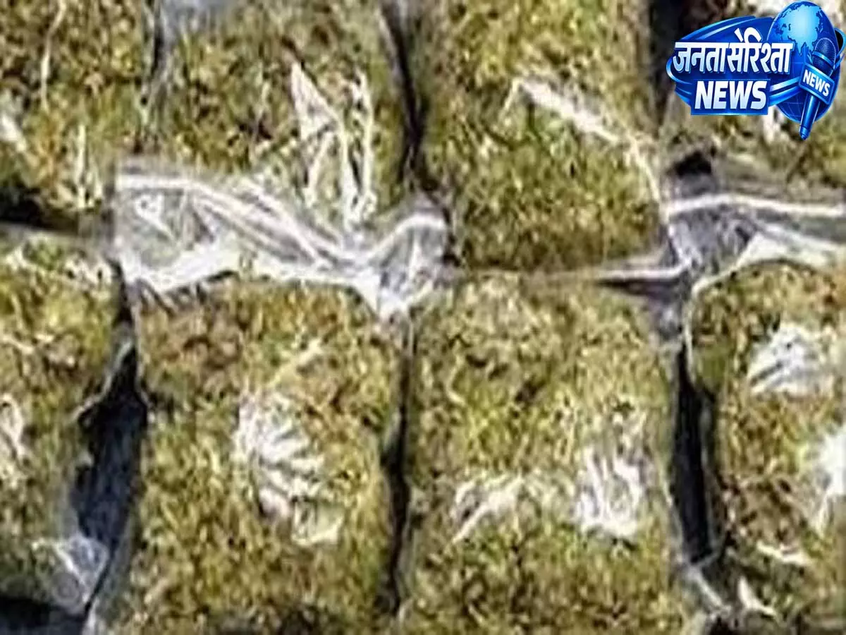 नाबालिगों को बना रहे गांजा तस्करी का मोहरा नोएडा में रोज 1000 की दिहाड़ी का खेल नाबालिगों को बना रहे गांजा तस्करी का मोहरा नोएडा में रोज 1000 की दिहाड़ी का खेल