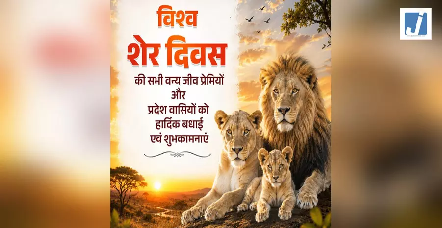विश्व शेर दिवस 2026: योगी आदित्यनाथ सहित कई राज्य के मुख्यमंत्रियों ने दीं बधाई और शुभकामनाएं विश्व शेर दिवस 2026: योगी आदित्यनाथ सहित कई राज्य के मुख्यमंत्रियों ने दीं बधाई और शुभकामनाएं