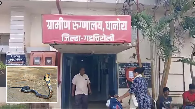 गढ़चिरौली के आदिवासी छात्रावास में सांप के काटने से तीन बच्चियों की मौत गढ़चिरौली के आदिवासी छात्रावास में सांप के काटने से तीन बच्चियों की मौत