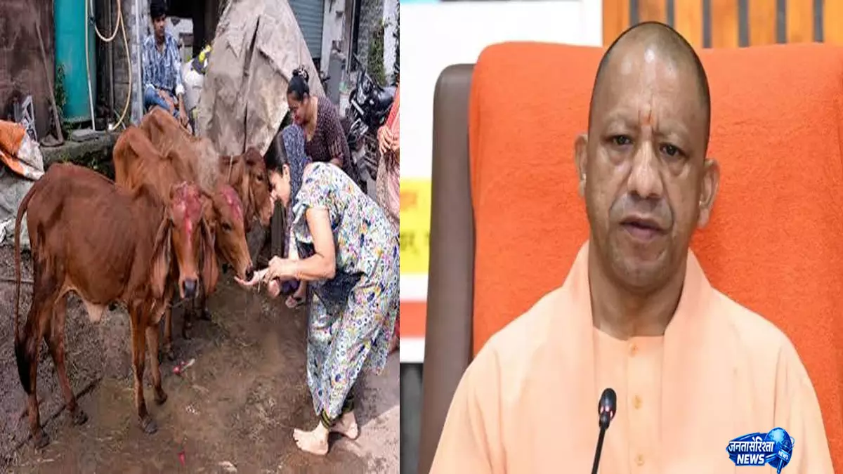 गोपालकों के लिए नया कमाई मॉडल 10 रुपये लीटर खरीदा जा रहा गोमूत्र गोपालकों के लिए नया कमाई मॉडल 10 रुपये लीटर खरीदा जा रहा गोमूत्र