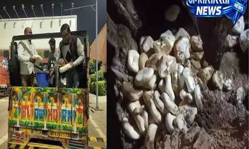 संभल में मिलावटखोरी पर बड़ा एक्शन 528 किलो नकली पनीर किया गया नष्ट संभल में मिलावटखोरी पर बड़ा एक्शन 528 किलो नकली पनीर किया गया नष्ट