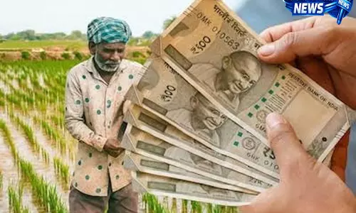 किसानों के लिए खुशखबरी 1 रुपये में कराएं फसल बीमा जानें कितनी मिलेगी रकम