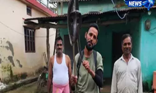 देहरादून में बारिश के बीच बढ़ा सांपों का खतरा कोबरा समेत 13 सांपों का रेस्क्यू