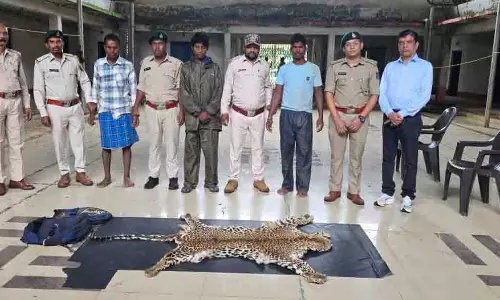 वन विभाग की बड़ी कार्रवाई, आरोपियों के कब्जे से तेंदुए की खाल जब्त
