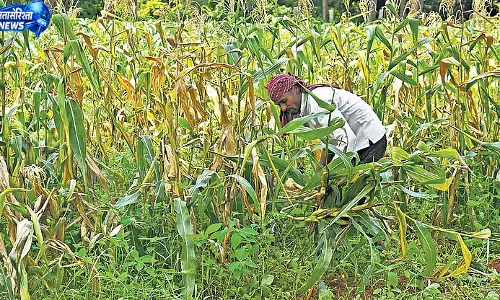 बिदादी टाउनशिप के लिए किसानों को 3 करोड़ प्रति एकड़ मुआवजा: डीके शिवकुमार