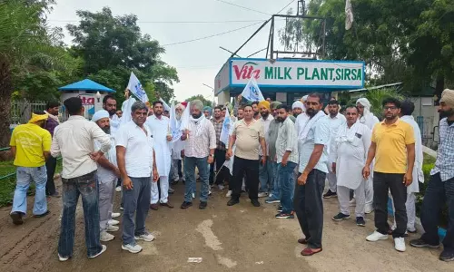 दूध के दाम पर सिरसा में डेयरी किसानों का प्रदर्शन दूध के दाम पर सिरसा में डेयरी किसानों का प्रदर्शन