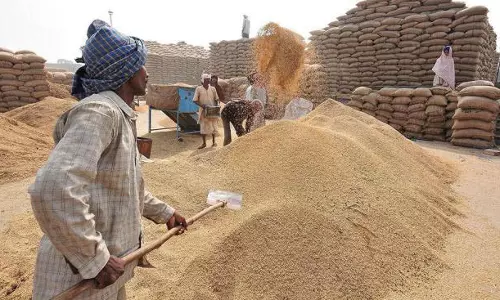 ओडिशा में धान बिक्री के लिए 94,657 किसानों का रजिस्ट्रेशन ओडिशा में धान बिक्री के लिए 94,657 किसानों का रजिस्ट्रेशन