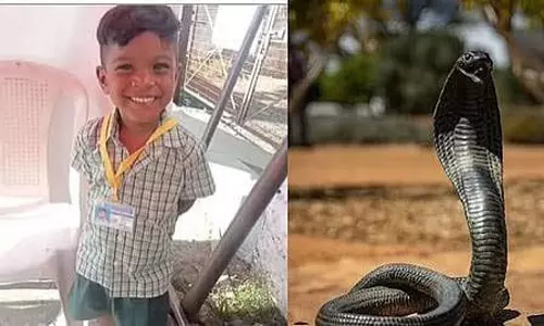 सांप के डसने से चेन्नई में बच्चे की मौत सांप के डसने से चेन्नई में बच्चे की मौत