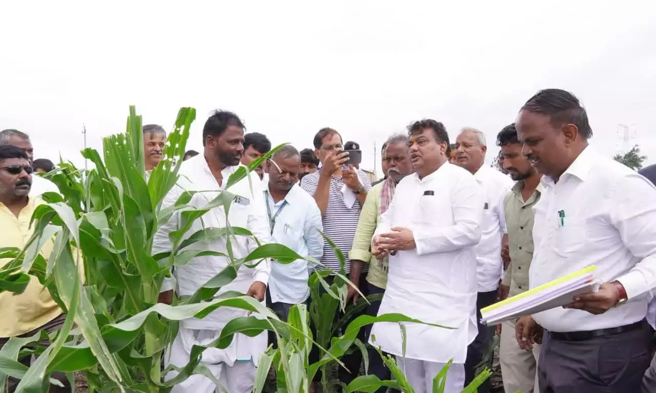 Karnataka: एमबी पाटिल ने विजयपुरा में फसल क्षति पर वैज्ञानिक रिपोर्ट मांगी Karnataka: एमबी पाटिल ने विजयपुरा में फसल क्षति पर वैज्ञानिक रिपोर्ट मांगी