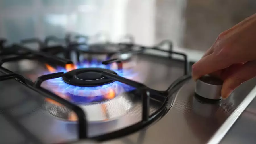 LPG और PNG के विकल्प के रूप में इथेनॉल से खाना पकाने की तैयारी LPG और PNG के विकल्प के रूप में इथेनॉल से खाना पकाने की तैयारी