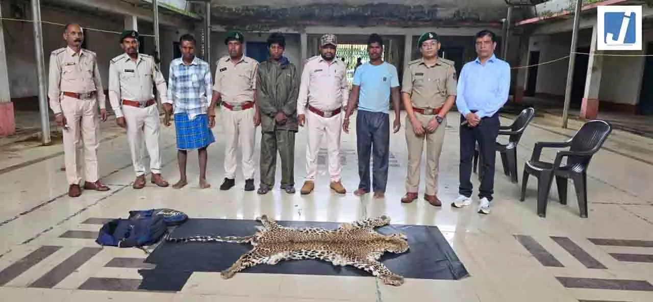 वन विभाग की बड़ी कार्रवाई, आरोपियों के कब्जे से तेंदुए की खाल जब्त वन विभाग की बड़ी कार्रवाई, आरोपियों के कब्जे से तेंदुए की खाल जब्त