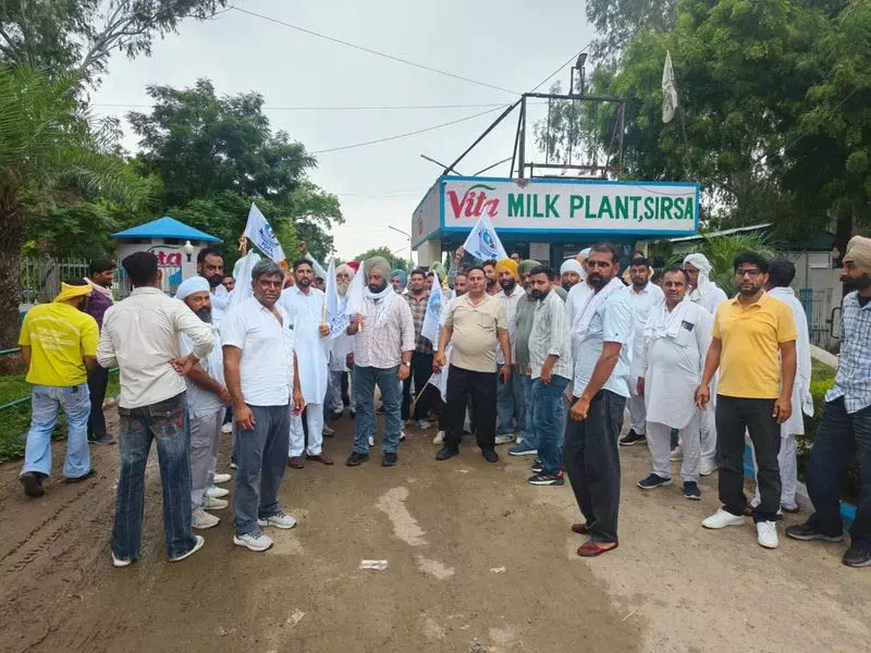 दूध के दाम पर सिरसा में डेयरी किसानों का प्रदर्शन दूध के दाम पर सिरसा में डेयरी किसानों का प्रदर्शन
