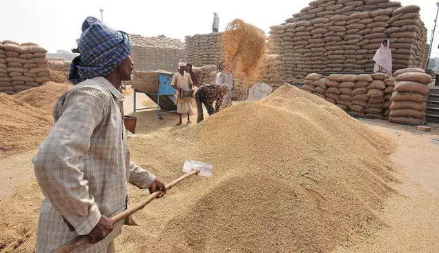 ओडिशा में धान बिक्री के लिए 94,657 किसानों का रजिस्ट्रेशन ओडिशा में धान बिक्री के लिए 94,657 किसानों का रजिस्ट्रेशन