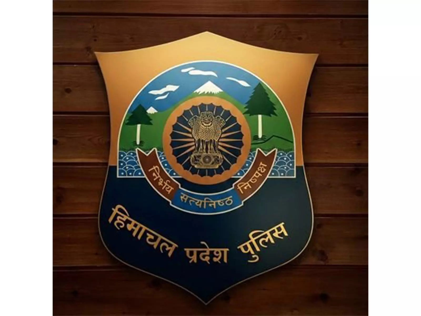 हिमाचल में दलित युवक का चालान फर्जी निकला हिमाचल में दलित युवक का चालान फर्जी निकला