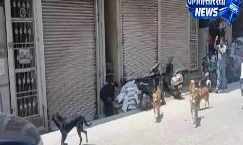 पागल कुत्तों के आतंक से मिली राहत कोटरंका में आज से खुलेंगे स्कूल पागल कुत्तों के आतंक से मिली राहत कोटरंका में आज से खुलेंगे स्कूल