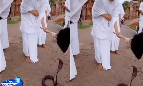 ब्लैक कोबरा के सामने बैठकर आर्यिका ने किया नमोकार मंत्र का जाप वीडियो हुआ वायरल